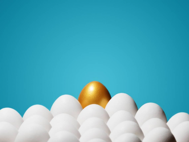 00878、00929、00900...金管會下緊箍咒，高股息真有那麼慘？盤點33檔8月除息ETF：這4檔暴力賺9%↑